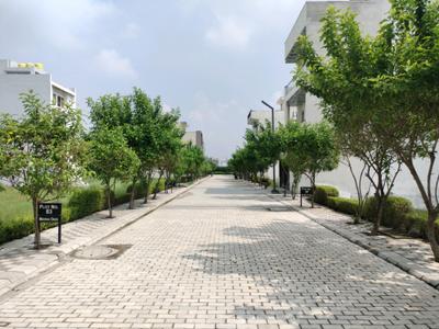 Image of 175 Sq.ft Residential Plot / Land for sale in Mansha Oaks, Sector 98, Faridabad for Rs. 21875000
