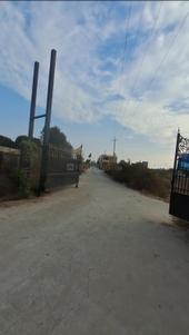 Image of 1240 Sq.ft Residential Plot / Land for sale in S.Bingipura, Bengaluru for Rs. 4890000