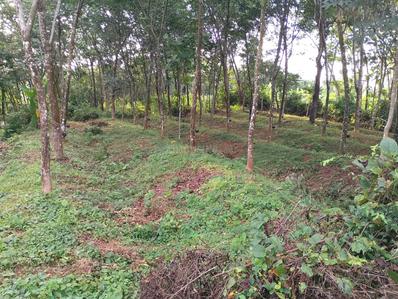 Image of 8712 Sq.ft Residential Plot / Land for sale in Kottarakkara, Kollam for Rs. 100000