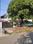 1 KANAL MAIN ROAD FACING MUD HOUSE PLOT Plot View 2