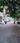 Deccan Greens Main Image 1