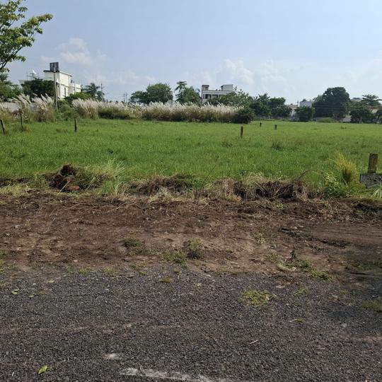Kankipadu Main Image 1