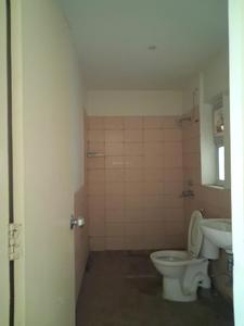 Common Bathroom Image of 750 Sq.ft 2 BHK Apartment / Flat for rent in Jaypee Aman, Aurangabad Noida for Rs. 18000