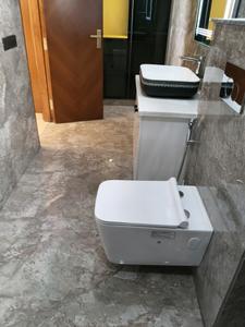 Common Bathroom Image of 3240 Sq.ft 4 BHK Builder Floor for sale in Palam Vihar Gurgaon for Rs. 34800000