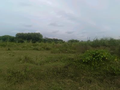 Residential Plot
