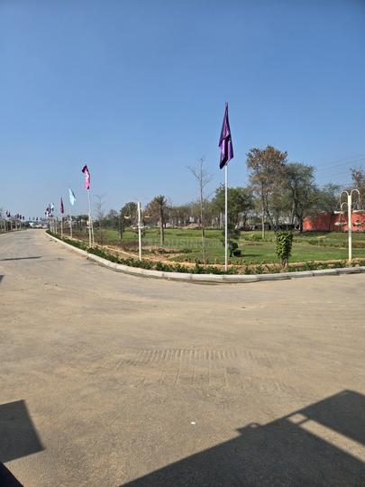 Forteasia Plots Main Image 1