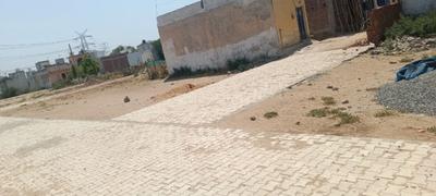 Signature point colony Plot View 2