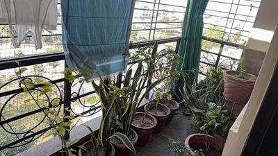 Balcony Image of 1333 Sq.ft 3 BHK Apartment / Flat for sale in SNG Shree Enclave Block A, Nangal Jaisabohra Jaipur for Rs. 5700000