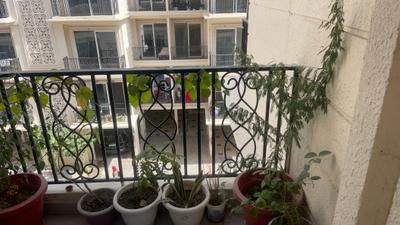 Image of 1210 Sq.ft 3 BHK Builder Floor for rent in Signature Global Park 2 And 3, Sector 36, Sohna for Rs. 24000