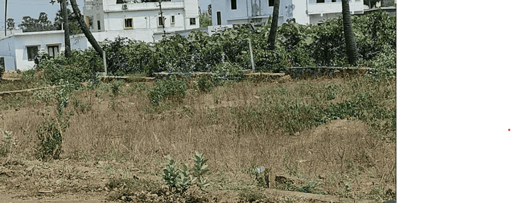 Kanchhal Aura Valley Main Image 1