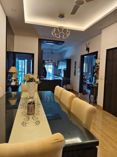 Palm Floor Ardee City Main Image 1