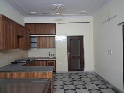 Kitchen Image of 4035 Sq.ft 4 BHK Builder Floor for rent in Sector 55 Noida for Rs. 60000