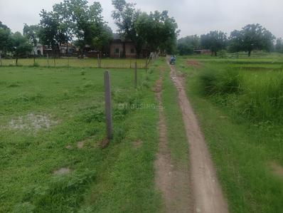Agricultural Land
