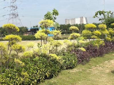 Image of 10000 Sq.ft 3 BHK Farm House for sale in Veda Farm, Sikanderpur, Greater Noida for Rs. 8000000
