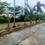 Phase 2, Salaiya Main Image 1