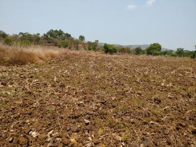 Image of 1089 Sq.ft Residential Plot / Land for sale in Hamarapur, Raigad for Rs. 285000
