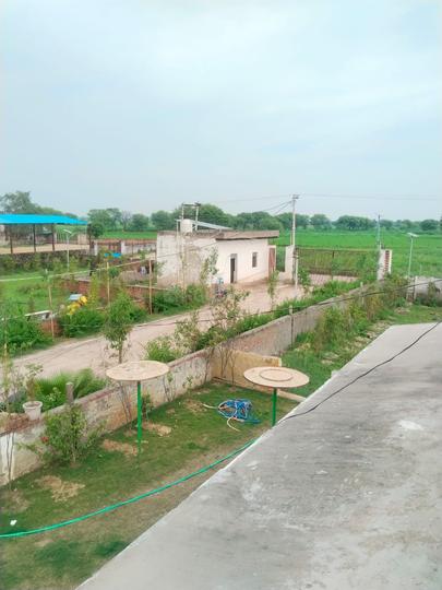 Vrindaban Bangar Main Image 1