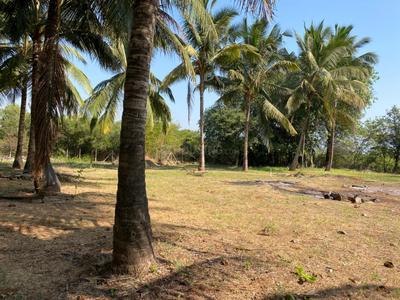 Image of 11000 Sq.ft Residential Plot / Land for sale in Nagaon, Alibag for Rs. 13200000
