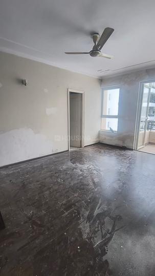 Orchid Petals Main Image 1