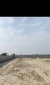 Dankaur Plot View 2