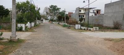 Sector 6 Plot View 2