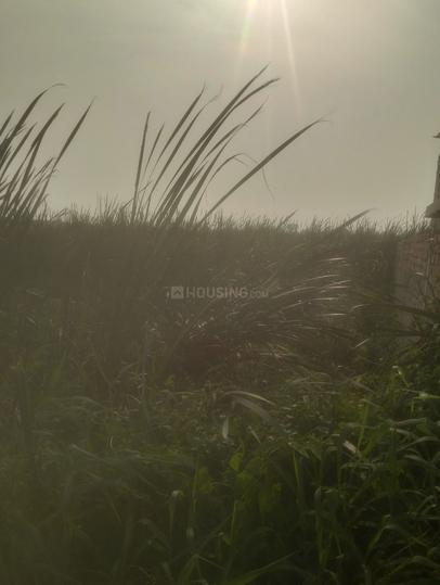 Kanaipur Main Image 1
