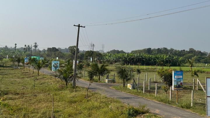 Nenmeli, Chengalpattu Main Image 1