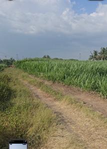 Image of 43750 Sq.ft Residential Plot / Land for sale in Wagholi, Pune for Rs. 4500000