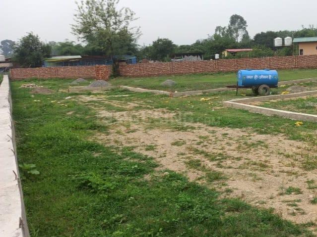 Selakui Main Image 1