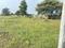 Prakruti Green Fields Main Image 1