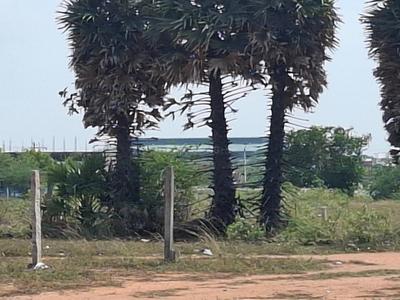 Image of 9600 Sq.ft Residential Plot / Land for sale in Mathur, Pudukkottai for Rs. 10000000