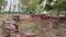 Kakori Main Image 1
