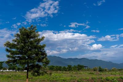 GLS Bird Estate Plot View 2