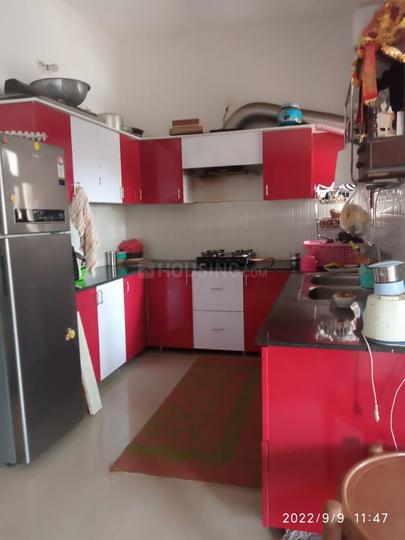 Kishanganj, Santer Main Image 1