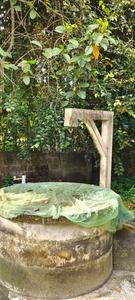 Image of 1375 Sq.ft 2 BHK Independent House for sale in Pallippuram, Thiruvananthapuram for Rs. 19600000