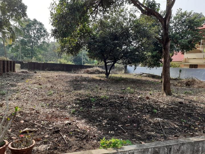 Varapuzha Main Image 1