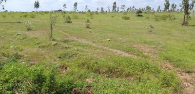 Image of 3900 Sq.ft Residential Plot / Land for sale in Boramani, Solapur for Rs. 2000000