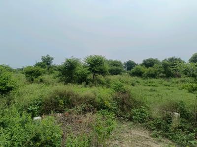 Image of 64 Sq.ft Residential Plot / Land for sale in Sector 35 Rohini, New Delhi for Rs. 12500000