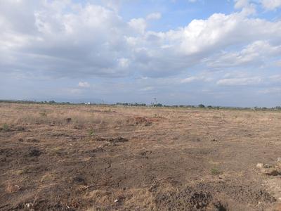 Image of 30502 Sq.ft Residential Plot / Land for sale in Tirumangalam, Madurai for Rs. 2450000
