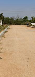 Kurmidda Plot View 2