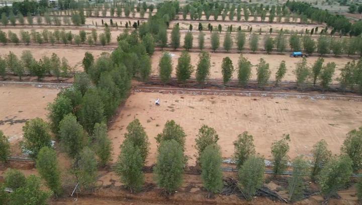 Singanahalli, Madhugiri Plot View 1