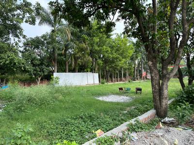 Balawala Plot View 1