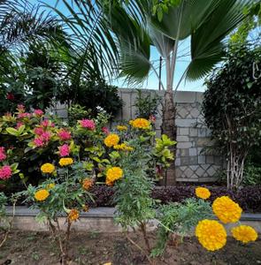 Image of 1820 Sq.ft 3 BHK Penthouse for sale in Satellite, Ahmedabad for Rs. 12500000