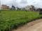 Brijmohini Main Image 1