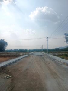 Century Nature City Internal Roads 2