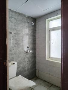 Common Bathroom Image of 920 Sq.ft 2.5 BHK Apartment / Flat for sale in Amrapali Dream Valley 2, Noida Extension Greater Noida for Rs. 6860000