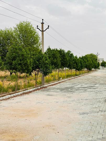 The Grand farm Main Image 1