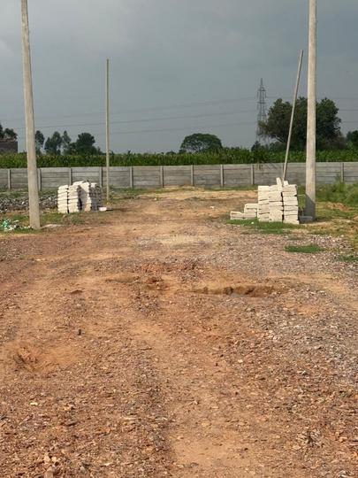 Prime vista Main Image 1