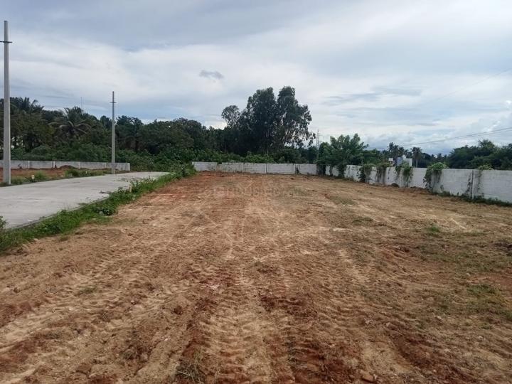 Thathaguni Main Image 1