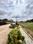 Bidaraguppe Plot View 2